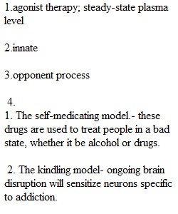 Quiz 5